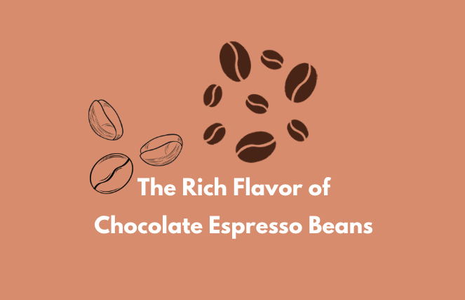 Chocolate Espresso Beans - Noisycoffee